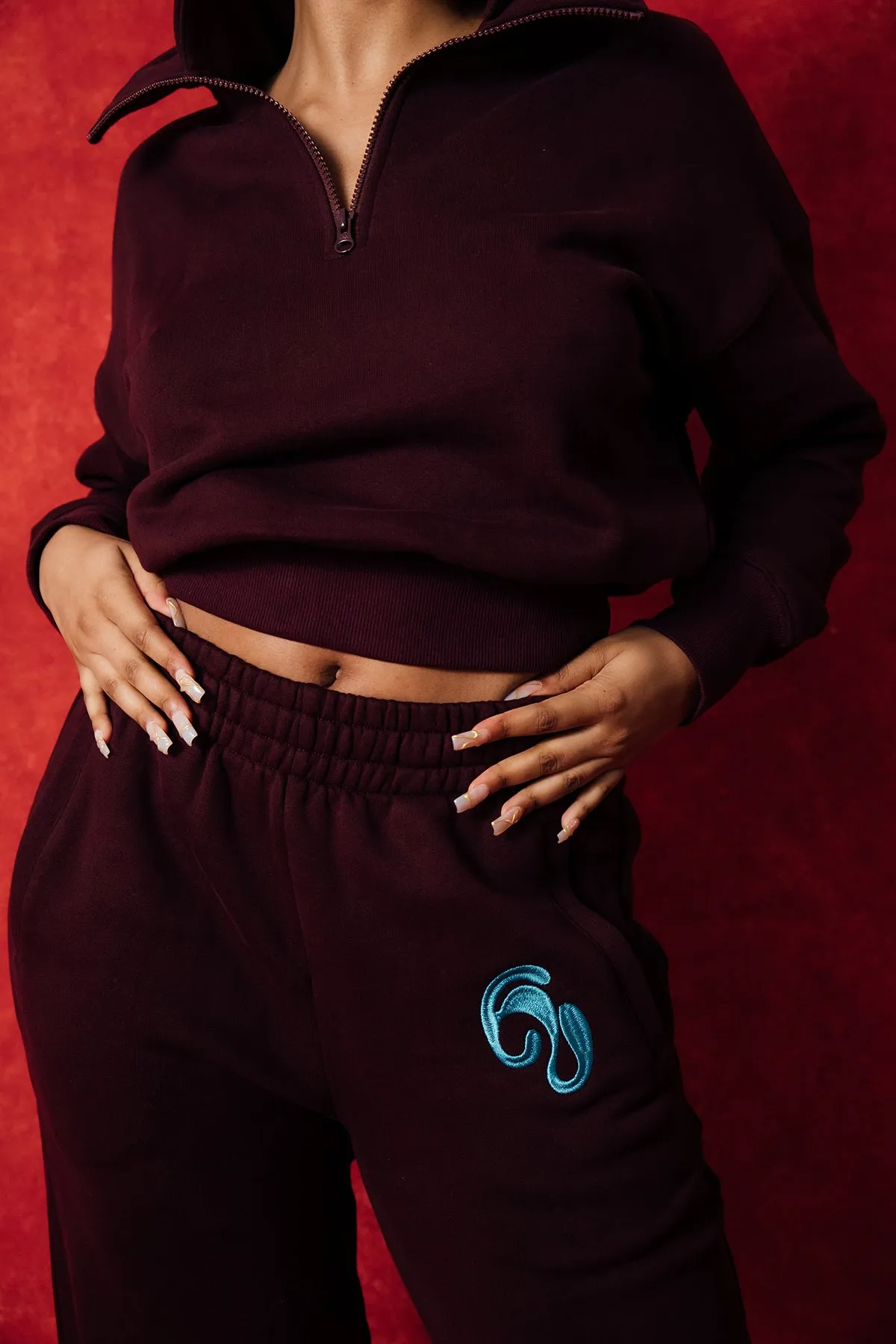 Kaia Logo Embroidered Cotton Half Zip Sweatshirt Hoodie - Burgundy